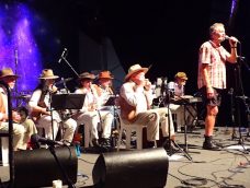 Bush Capital Band at National Folk Festival 2017